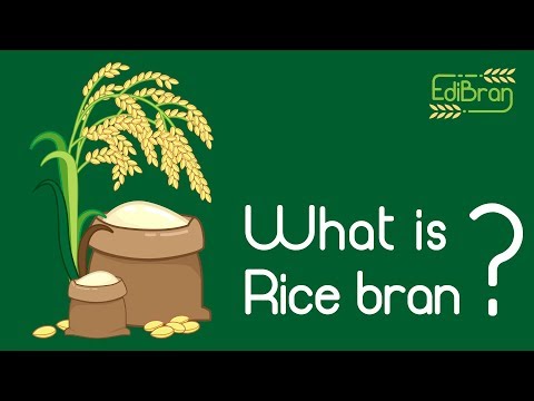What is rice bran?