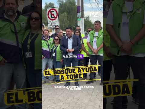 El Bosque ayuda a Tomé