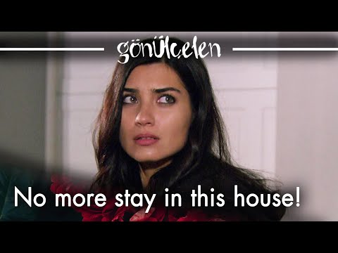 Let’s return to our old neighbourhood! - Episode 65 | Becoming a Lady