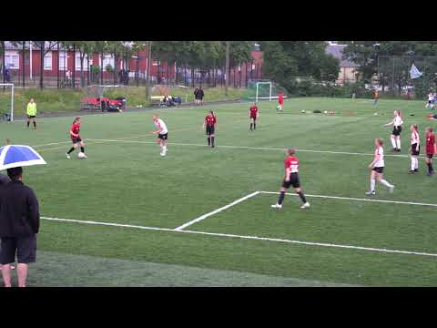 T12 VJS/valk - PK35/pun (2/2)