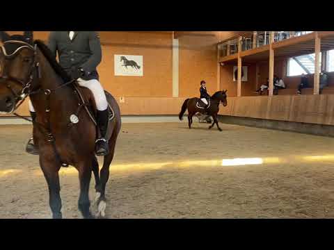 DOMINO - 02.2021 Illertissen - 130 cm