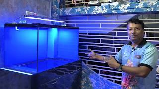 Ultimate Batman-Themed Marine Aquarium 🖤 | Seascape Setup