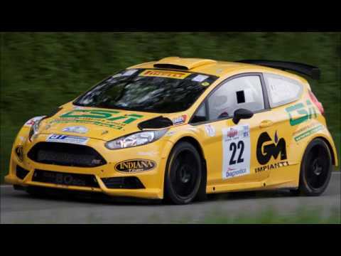 Best Of R5 Rally Cars [TRIBUTE HD]