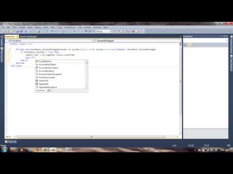 Checkbox Example Tutorial Visual Basic 2010