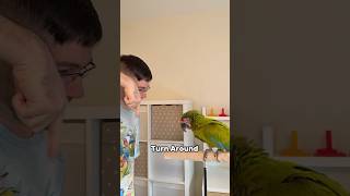 Turn Around (Or Not!) - Great Green Macaw Trick
