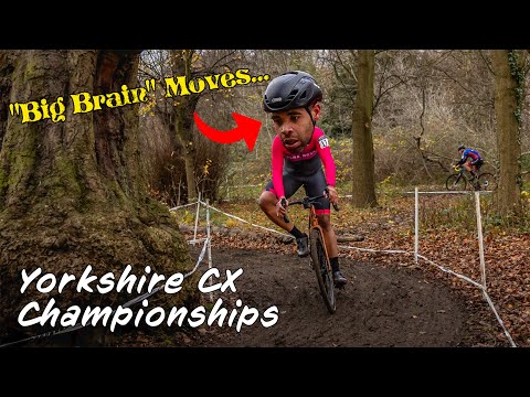 Searching for Improvements