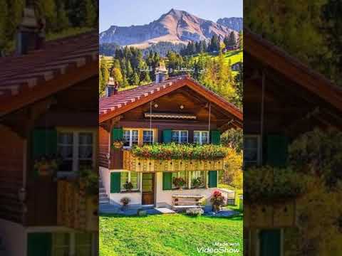 أحلى وأجمل الورود