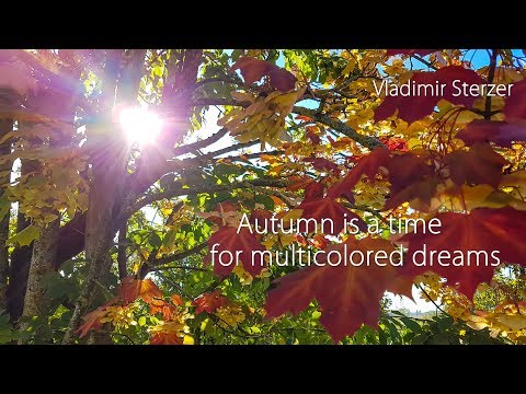 Autumn is a time for multicolored dreams ✵ Beautiful piano instrumental music