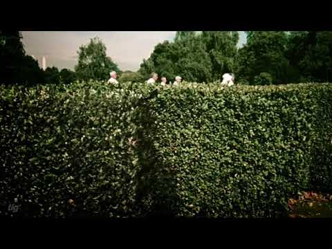 Channel 4 : 2004 idents : Bowls
