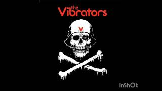 The Vibrators (Hunting for you)