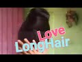 Rambut Panjang Kalimantan Real Rapunzel Long Hair Women Cantik Longhair Rapunzel Shorts Tv