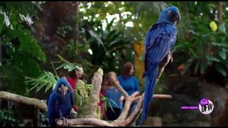 Moody Gardens Offers Unique, Family-Friendly Fun