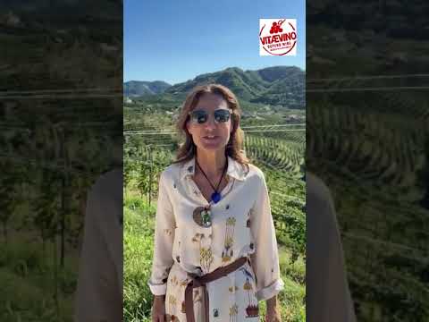 Video of Laura Mayr