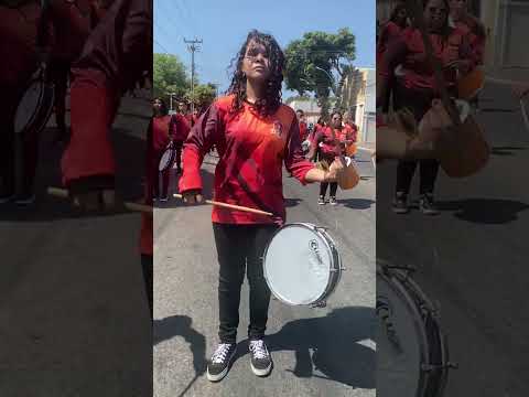 Desfile Banda Liceu e Banda FANFEVI 7 de Setembro de 2024 Pt  11