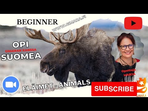 , title : 'Opi suomea! Puhutaan eläimistä (Beginner 2) LIVESTREAM'
