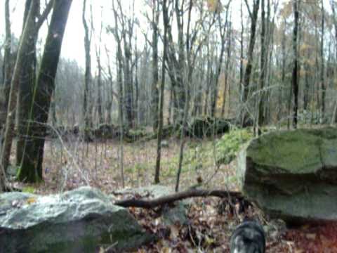 100 0916 Old Barn Cellar Foundation Petersham Mass  Oct 2010 Part 1