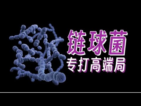 链球菌：只打高端局的极恶病菌为何被人类用来养生