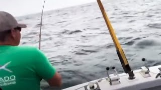 10 Shocking Fishing Moments Caught On Camera! video