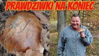 Boletus mushrooms at the end