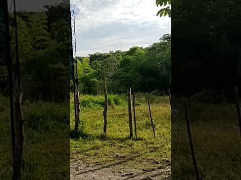 Video Balneario Cancún Mariquita