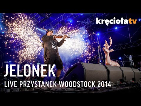 Jelonek LIVE Woodstock 2014 (CAŁY KONCERT)