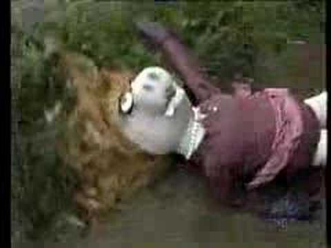 Muppet Faces of Death