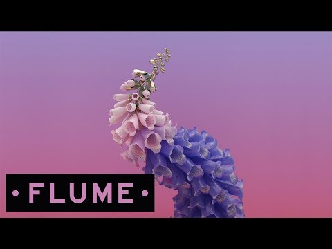 Video Wall Fuck (Audio) de Flume