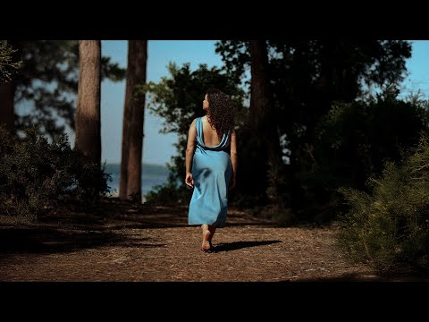 Alpha Classics and 2 more