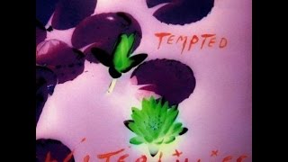 Waterlillies - Supersonic