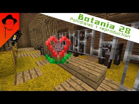 Botania de A à Z : 28 Pollidisiac