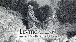 preview picture of video 'Levitical Law: Pure and Spotless Sin Offering'