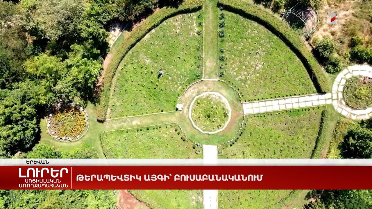 Թերապևտիկ այգի՝ Բուսաբանականում