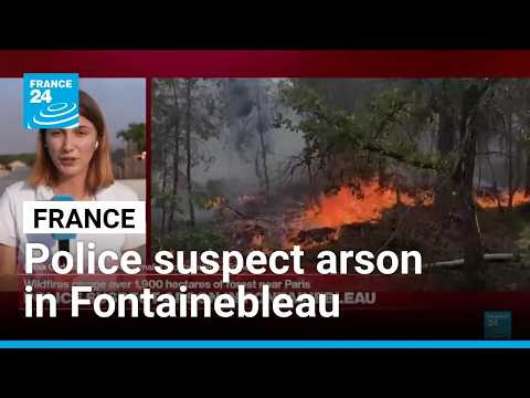 French police suspect arson in Fontainebleau forest near Paris