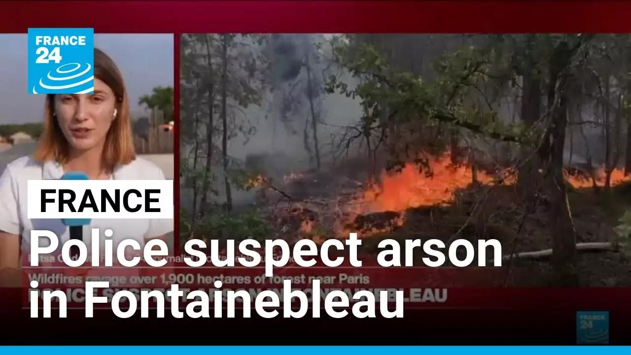 French police suspect arson in Fontainebleau forest near Paris • FRANCE 24 English
