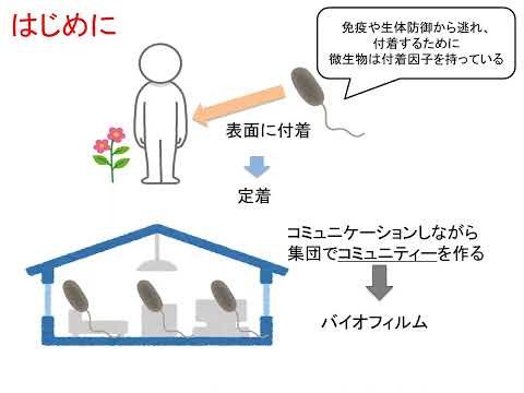 【山口大学OC2025／農学部／生物機能科学科】9 分子微生物学分野