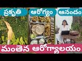 Manthena Satyanarayana Raju Arogyalayam Experience Routine Food Prices Learnings Health Tips