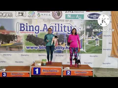 ᗪʀᥐຣᰋʀᰀᴀᴍ ᗷⳗບᰀ ٧ᰀⳗ᥎ᰀᰋ -K꯵ᴋᥐ. 2022.09.17 Szeptemberi Bing Agility Kupa