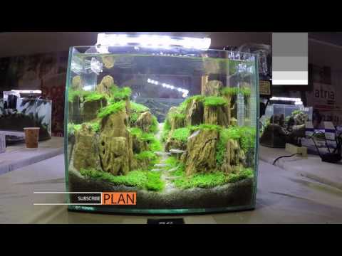 Aquascape Contest - A'Combat Tank 300