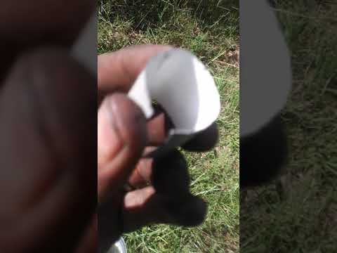 YouTube video about: How to remove chevy heater hose quick connector without tool?