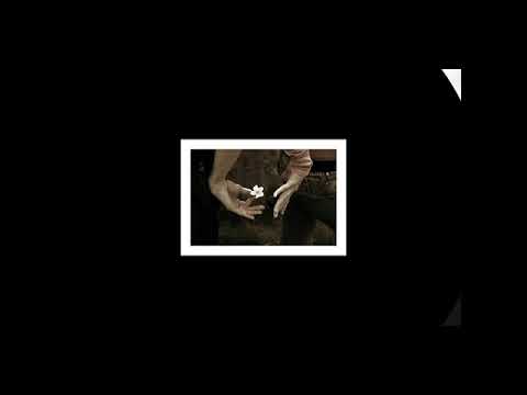 Liana Zaqaryan "Sery haneluk e"