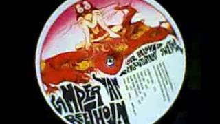 Camper Van Beethoven - Never Go Back
