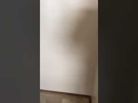 9135-9137 N. Swan Rd - Video 2 of 2