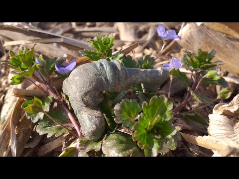 Der Bayern Sondler Teil 157 - Wieder einmal ein schöner römischer Fund