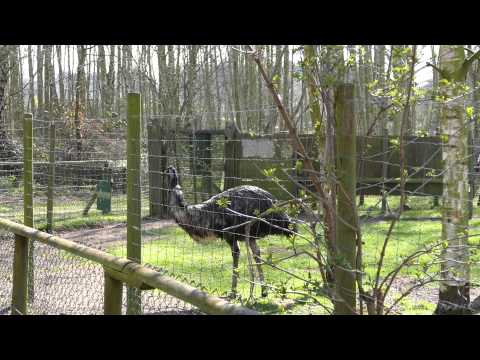 Wetlands Animal Park