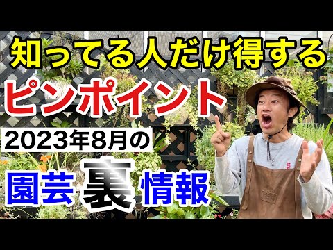 旧暦: 2022 年 8 月の月を使ってガーデニングをするには?  庭園