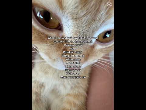 I HATE HATE HATE these things