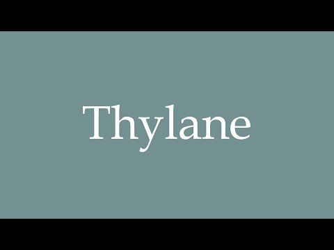 How to Pronounce ''Thylane'' Correctly in French