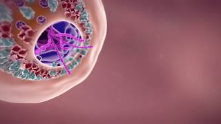 Download lagu What happens when the coronavirus infects  your body ? mp3