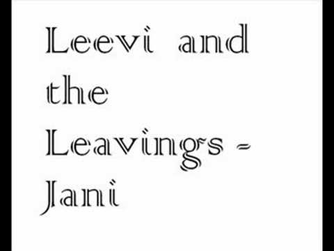 Leevi and the Leavings - Jani