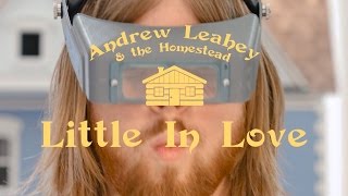 Andrew Leahey & the Homestead - Little In Love (Official Video)